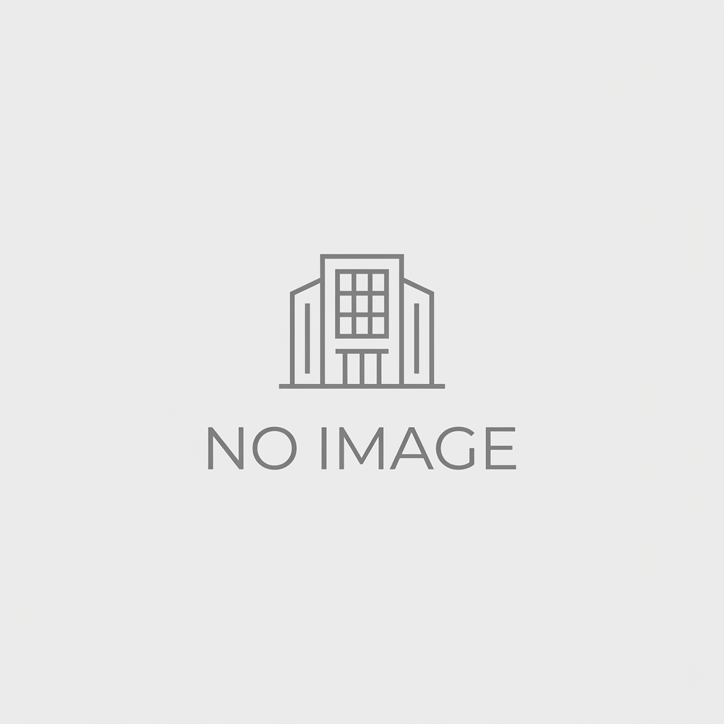 No product gallery images